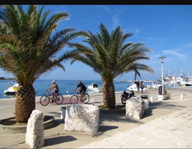 Novalja Beach Apartment Bagian luar foto